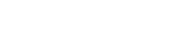 AviTracer, Flight Watch Solutions